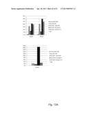 DIRECTED DIFFERENTIATION AND MATURATION OF PLURIPOTENT CELLS INTO     HEPATOCYTE LIKE CELLS BY MODULATION OF WNT-SIGNALLING PATHWAY diagram and image