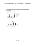 DIRECTED DIFFERENTIATION AND MATURATION OF PLURIPOTENT CELLS INTO     HEPATOCYTE LIKE CELLS BY MODULATION OF WNT-SIGNALLING PATHWAY diagram and image