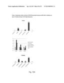 DIRECTED DIFFERENTIATION AND MATURATION OF PLURIPOTENT CELLS INTO     HEPATOCYTE LIKE CELLS BY MODULATION OF WNT-SIGNALLING PATHWAY diagram and image