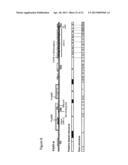 PREGNANCY-ASSOCIATED PLASMA PROTEIN-A2 (PAPP-A2) POLYNUCLEOTIDES diagram and image