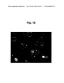 METHOD FOR PRODUCING MICROPARTICLES diagram and image