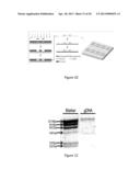 SELF-SUSTAINED FLUIDIC DROPLET CASSETTE AND SYSTEM FOR BIOCHEMICAL ASSAYS diagram and image