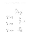 SMALL-MOLECULE INHIBITORS OF THE ANDROGEN RECEPTOR diagram and image