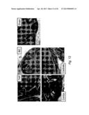 SMALL-MOLECULE INHIBITORS OF THE ANDROGEN RECEPTOR diagram and image