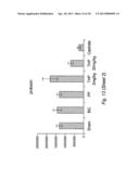 SMALL-MOLECULE INHIBITORS OF THE ANDROGEN RECEPTOR diagram and image