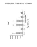 SMALL-MOLECULE INHIBITORS OF THE ANDROGEN RECEPTOR diagram and image