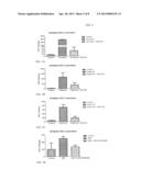 INHIBITORS OF HUMAN 12-LIPOXYGENASE diagram and image