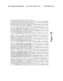 MODULATION OF INSULIN LIKE GROWTH FACTOR I RECEPTOR EXPRESSION diagram and image