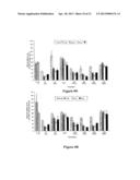 MODULATION OF INSULIN LIKE GROWTH FACTOR I RECEPTOR EXPRESSION diagram and image