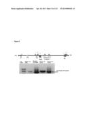 RECOMBINANT ADENO-ASSOCIATED VECTORS FOR TARGETED TREATMENT diagram and image
