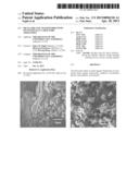 METAL-ORGANIC FRAMEWORKS WITH EXCEPTIONALLY LARGE PORE APERATURES diagram and image