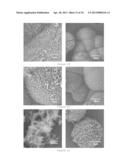 METAL-ORGANIC FRAMEWORKS WITH EXCEPTIONALLY LARGE PORE APERATURES diagram and image