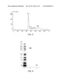 POLYMER CONJUGATES OF GLP-1 diagram and image