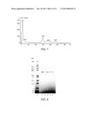 POLYMER CONJUGATES OF GLP-1 diagram and image