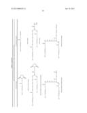 POLYMER CONJUGATES OF GLP-1 diagram and image