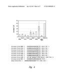 HYDROXYMETHYL SUBSTITUTED RNA OLIGONUCLEOTIDES AND RNA COMPLEXES diagram and image