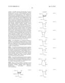 HYDROXYMETHYL SUBSTITUTED RNA OLIGONUCLEOTIDES AND RNA COMPLEXES diagram and image