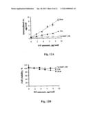 Uniform field magnetization and targeting of therapeutic formulations diagram and image