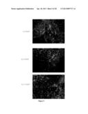 COMPOSITIONS AND METHODS FOR RE-PROGRAMMING CELLS WITHOUT GENETIC     MODIFICATION FOR TREATMENT OF  CARDIOVASCULAR DISEASES diagram and image