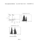 COMPOSITIONS AND METHODS FOR RE-PROGRAMMING CELLS WITHOUT GENETIC     MODIFICATION FOR TREATMENT OF  CARDIOVASCULAR DISEASES diagram and image