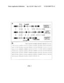 SOYBEAN NODULATION FACTOR RECEPTOR PROTEINS, ENCODING NUCLEIC ACIDS AND     USES THEREFOR diagram and image