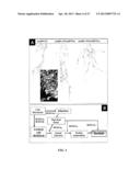 SOYBEAN NODULATION FACTOR RECEPTOR PROTEINS, ENCODING NUCLEIC ACIDS AND     USES THEREFOR diagram and image