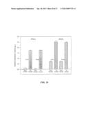 SOYBEAN NODULATION FACTOR RECEPTOR PROTEINS, ENCODING NUCLEIC ACIDS AND     USES THEREFOR diagram and image