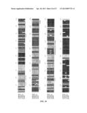 SOYBEAN NODULATION FACTOR RECEPTOR PROTEINS, ENCODING NUCLEIC ACIDS AND     USES THEREFOR diagram and image