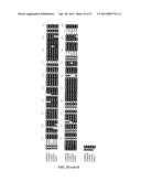 SOYBEAN NODULATION FACTOR RECEPTOR PROTEINS, ENCODING NUCLEIC ACIDS AND     USES THEREFOR diagram and image