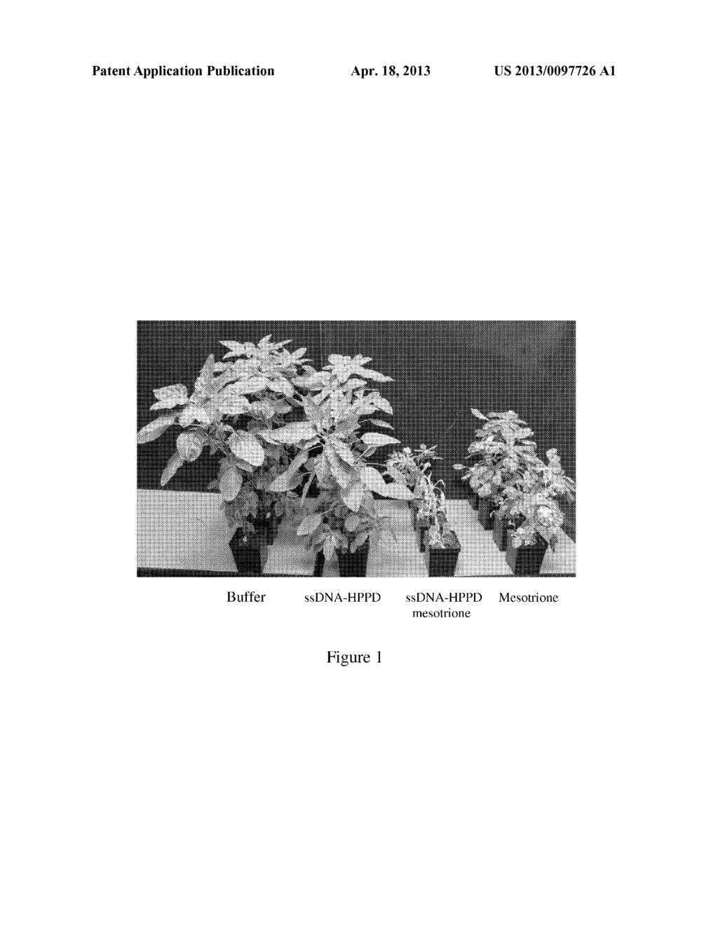 METHODS AND COMPOSITIONS FOR WEED CONTROL - diagram, schematic, and image 02
