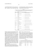 NUCLEIC ACID MOLECULES THAT TARGET RPS6 AND CONFER RESISTANCE TO     COLEOPTERAN PESTS diagram and image