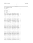 NUCLEIC ACID MOLECULES THAT TARGET RPS6 AND CONFER RESISTANCE TO     COLEOPTERAN PESTS diagram and image