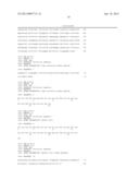 PEST-RESISTANT PLANTS CONTAINING A COMBINATION OF A SPIDER TOXIN AND A     CHITINASE diagram and image