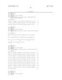 PEST-RESISTANT PLANTS CONTAINING A COMBINATION OF A SPIDER TOXIN AND A     CHITINASE diagram and image