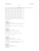 PEST-RESISTANT PLANTS CONTAINING A COMBINATION OF A SPIDER TOXIN AND A     CHITINASE diagram and image