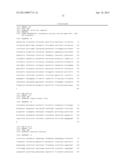 PEST-RESISTANT PLANTS CONTAINING A COMBINATION OF A SPIDER TOXIN AND A     CHITINASE diagram and image