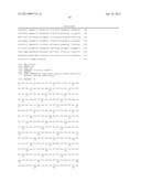 PEST-RESISTANT PLANTS CONTAINING A COMBINATION OF A SPIDER TOXIN AND A     CHITINASE diagram and image