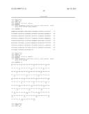 PEST-RESISTANT PLANTS CONTAINING A COMBINATION OF A SPIDER TOXIN AND A     CHITINASE diagram and image