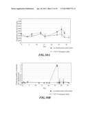 Composition and Method for Prolonging the Shelf Life of Banana by Using     Interfering RNA diagram and image