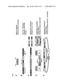Acyltransferases and Uses Thereof in Fatty Acid Production diagram and image