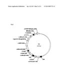 Acyltransferases and Uses Thereof in Fatty Acid Production diagram and image