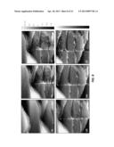 Scanning probe microscopy-based metrology tool with a vacuum partition diagram and image