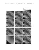 Scanning probe microscopy-based metrology tool with a vacuum partition diagram and image