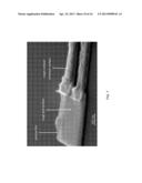 LOCALIZED DEPOSITION OF POLYMER FILM ON NANOCANTILEVER CHEMICAL VAPOR     SENSORS BY SURFACE-INITIATED ATOM TRANSFER RADICAL POLYMERIZATION diagram and image