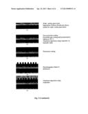 CAPACITIVE SENSOR AND METHOD FOR MAKING THE SAME diagram and image