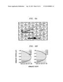 BUMP ARRAY DEVICE HAVING ASYMMETRIC GAPS FOR SEGREGATION OF PARTICLES diagram and image