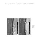 SELECTIVE DRY ETCHING OF N-FACE (Al,In,Ga)N HETEROSTRUCTURES diagram and image