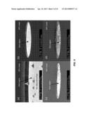 SELECTIVE DRY ETCHING OF N-FACE (Al,In,Ga)N HETEROSTRUCTURES diagram and image