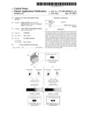 TARGET LOCATION DETERMINATION DEVICE diagram and image