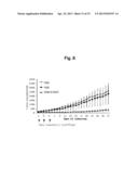 Recombinant Adenovirus Having Anti-Angiogenesis Activity diagram and image